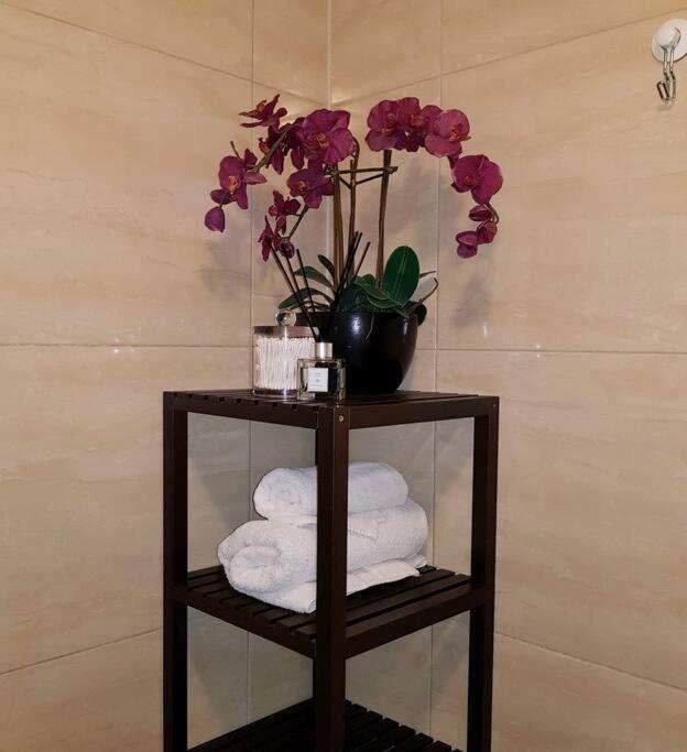 Perfect Dublin Residence Free Wifi Bagian luar foto